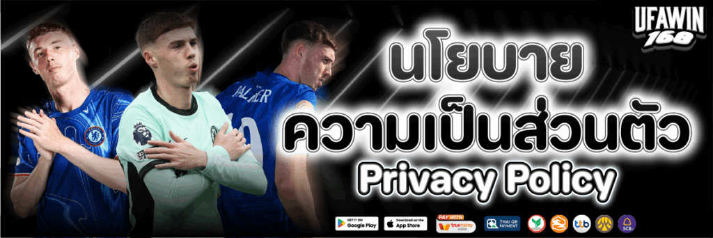 นโยบายความเป็นส่วนตัว